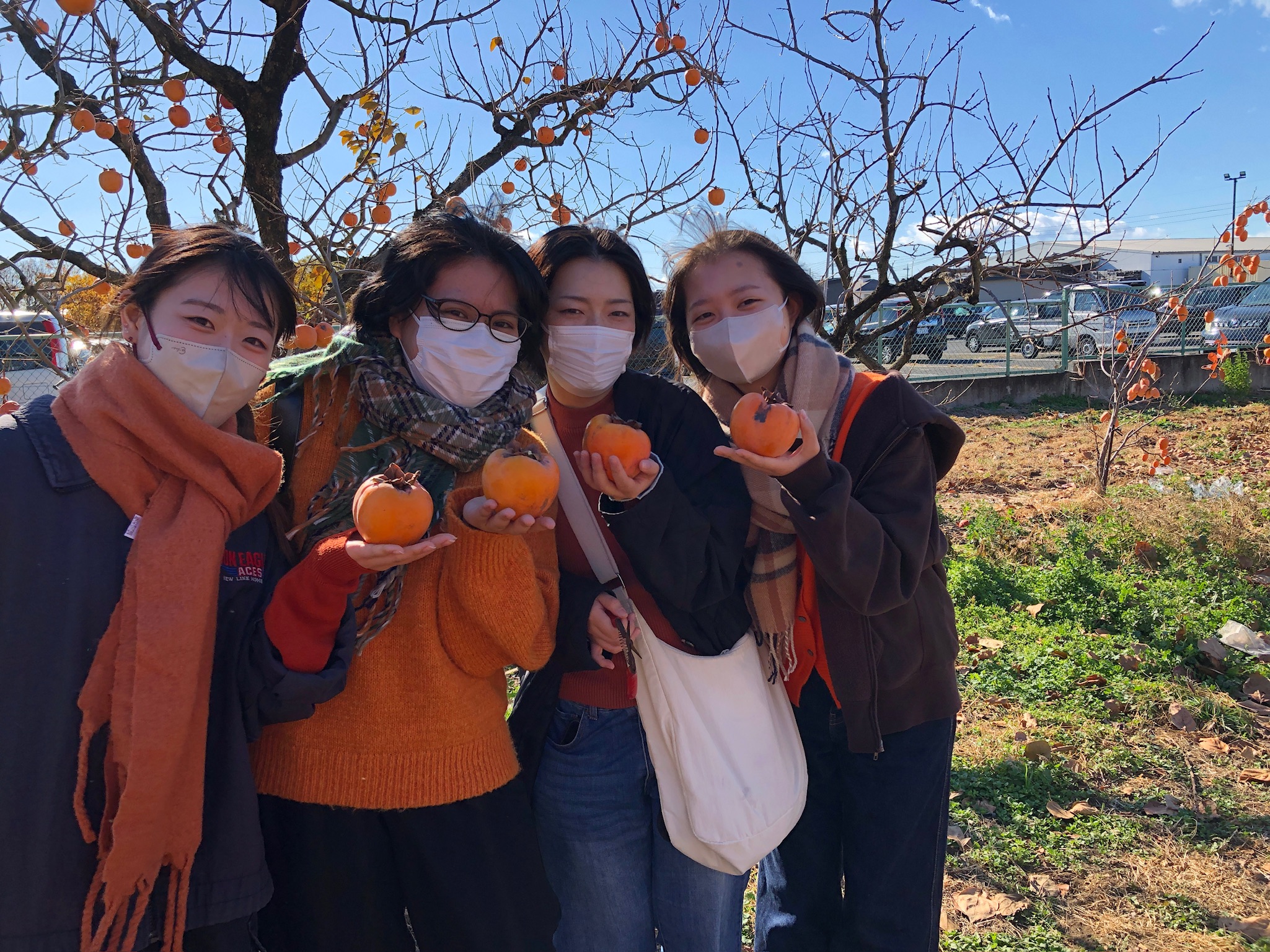 【医療保健学部　栄養学科】柿収穫体験に行ってきました