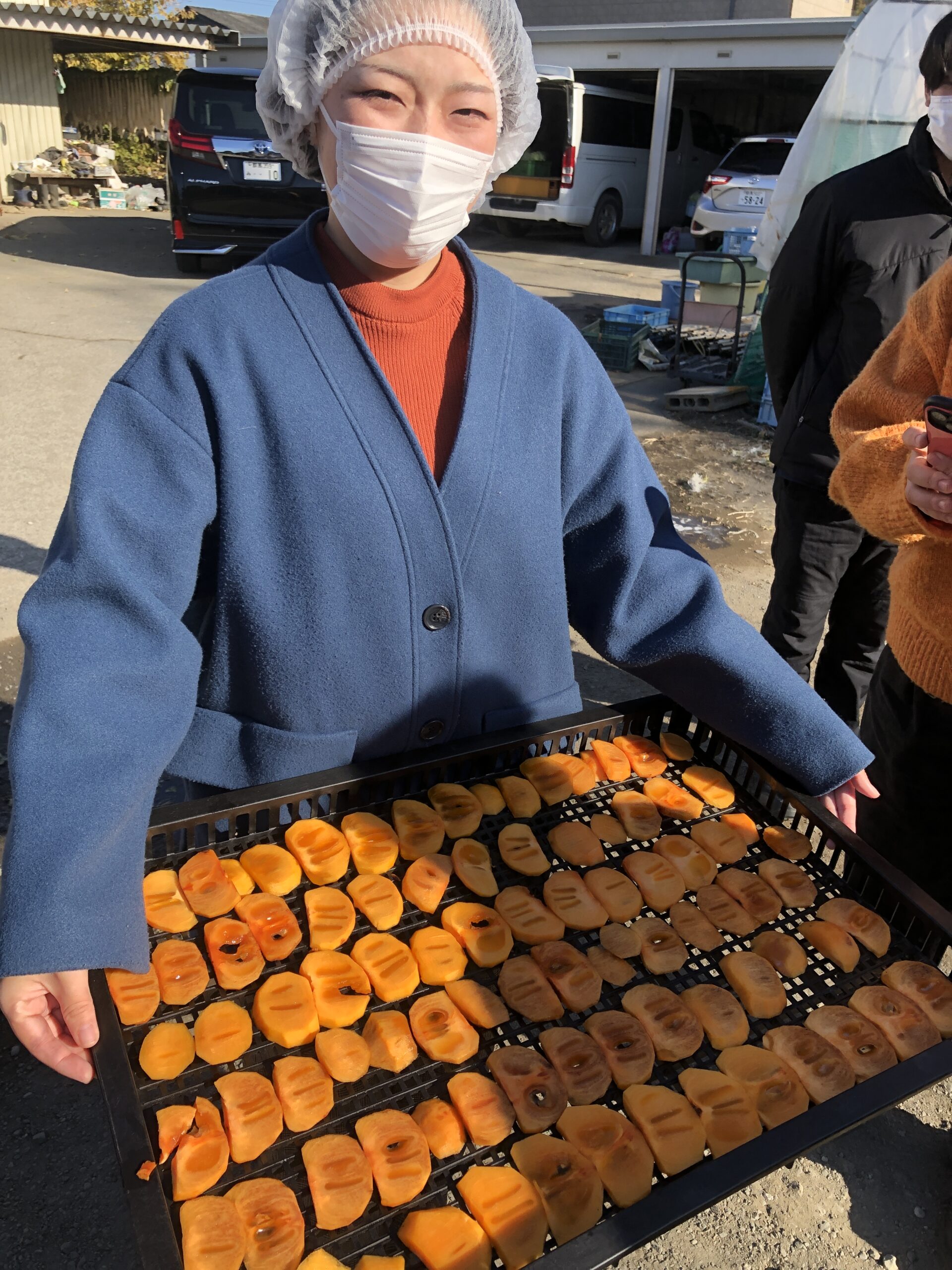 【医療保健学部　栄養学科】干し柿と柿チップを作ってきました
