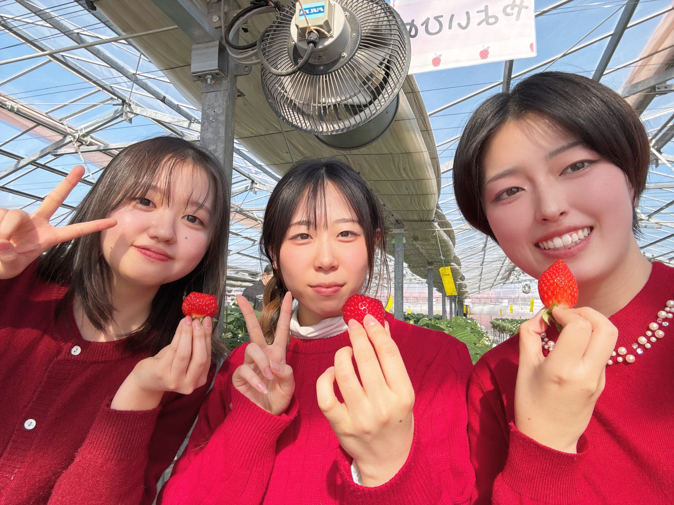 【医療保健学部　栄養学科】いちご狩りを楽しんできました